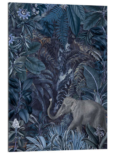 Quadro em plexi-alumínio Blue elephant in the jungle