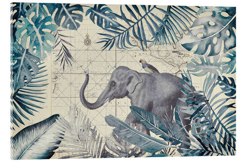 Quadro em acrílico Elephant on jungle journey