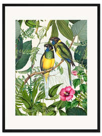 Gerahmter Kunstdruck Tropische Vögel III
