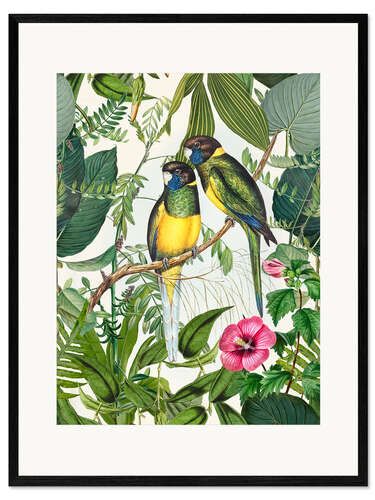 Kehystetty taidepainatus Tropical Birds III
