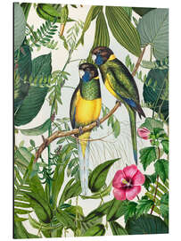 Magnettafel Tropische Vögel III