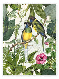 Veggbilde  Tropical Birds - Andrea Haase