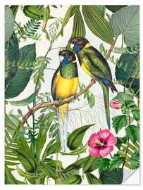 Wall sticker Tropical Birds III