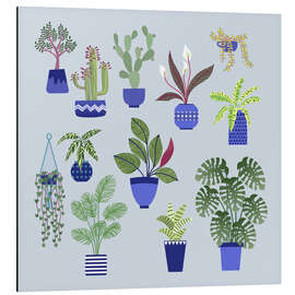 Aluminium print Houseplants Cacti and Succulents