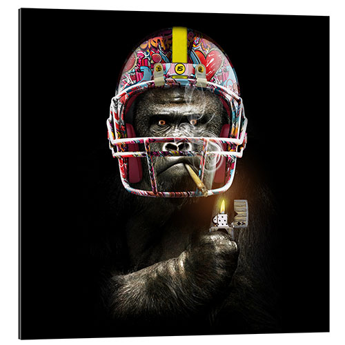 Gallery print Funny gorilla