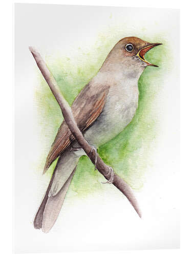 Tableau en verre acrylique Nightingale