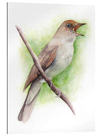 Gallery print Nightingale