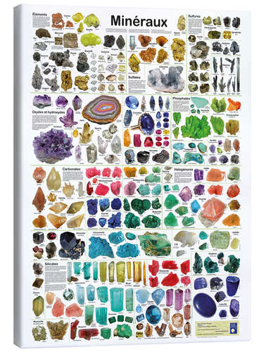 Canvas print Minerals (French)