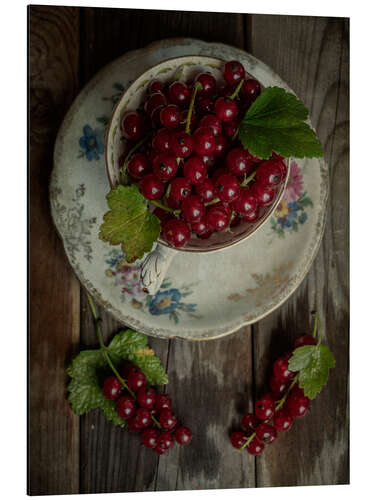 Aluminium print Still life with fresh redcurrants