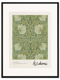 Gerahmter Kunstdruck Pimpernel