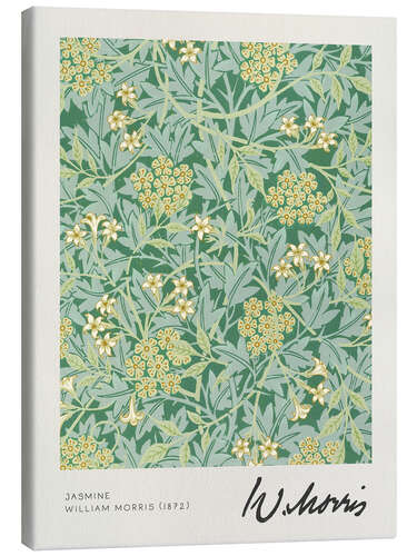 Canvas print Jasmine