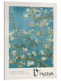 Gallery print Almond Blossom