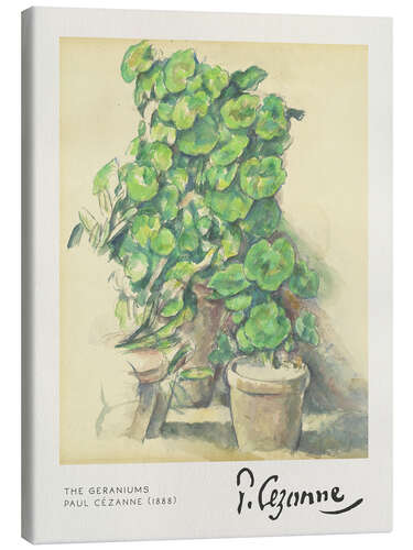 Quadro em tela The Geraniums