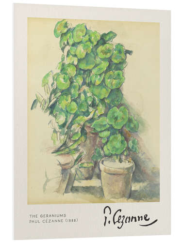 Stampa su PVC The Geraniums