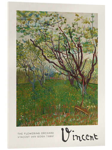 Acrylglas print The Flowering Orchard