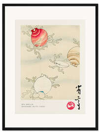 Gerahmter Kunstdruck Sea Shells