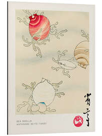 Magnettafel Sea Shells