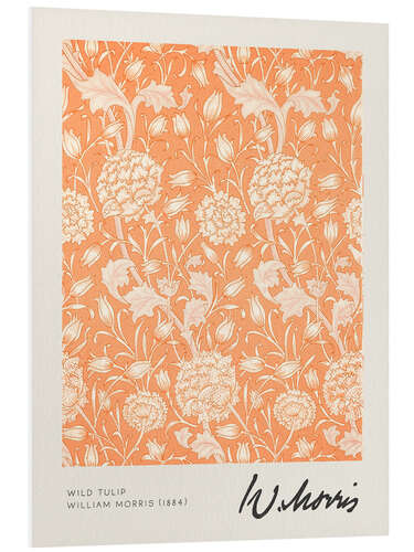 Foam board print Wild Tulip