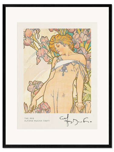 Framed art print The Iris