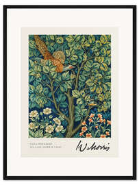 Gerahmter Kunstdruck Cock Pheasant