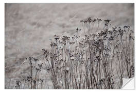 Sisustustarra Dried flowers and blossoms against a beige gray golden field