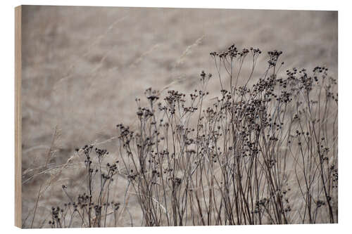 Stampa su legno Dried flowers and blossoms against a beige gray golden field