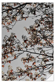 Wall sticker Blossoms and spring branches on grey