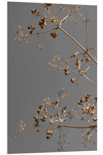 Stampa su PVC Dried flowers and branches kissed by the sun