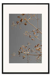 Gerahmter Kunstdruck Trockenblüten und von der Sonne geküsste Zweige