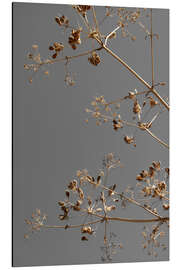 Magnettafel Trockenblüten und von der Sonne geküsste Zweige