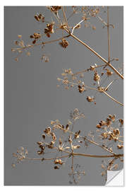 Sisustustarra Dried flowers and branches kissed by the sun