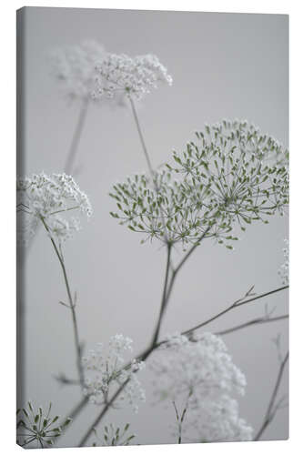 Canvas print White flowers and flowering branches on grey