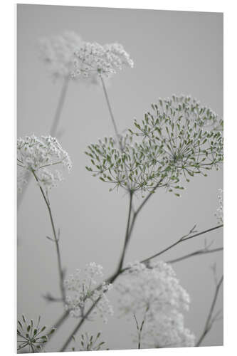 Foam board print White flowers and flowering branches on grey