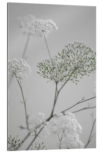 Galleritryk White flowers and flowering branches on grey