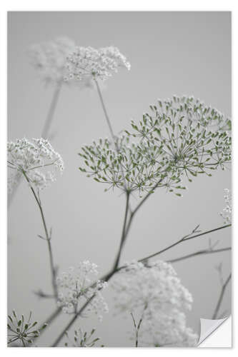 Wall sticker White flowers and flowering branches on grey