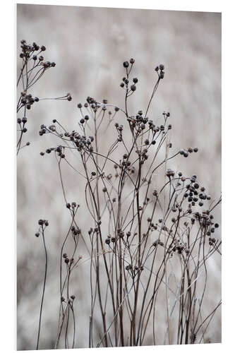 Obraz na PCV Blossom branches in the beige, golden field