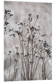 Foam board print Blossom branches in the beige, golden field