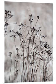 Gallery print Blossom branches in the beige, golden field