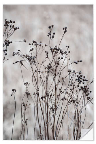 Wall sticker Blossom branches in the beige, golden field