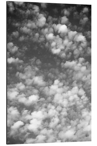 Aluminiumsbilde Sky, clouds and white sheep count