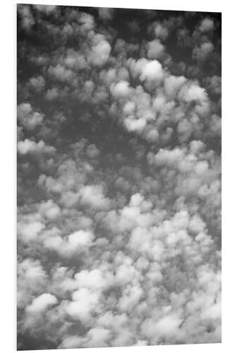 Foam board print Sky, clouds and white sheep count