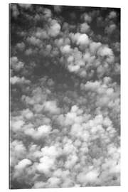 Gallery print Sky, clouds and white sheep count