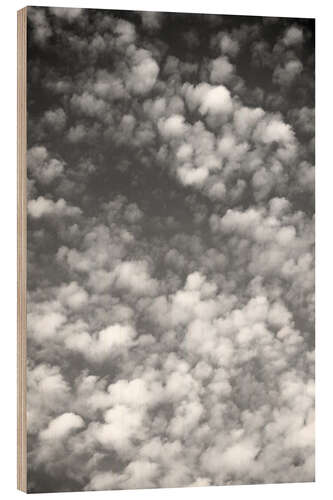 Stampa su legno Sky, clouds and white sheep count