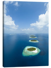 Lærredsbillede  Baa Atoll, Maldives - Jan Christopher Becke