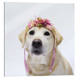 Galleritryck Labrador with wreath of flowers