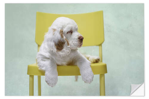 Adesivo murale Cute Clumber Spaniel Puppy