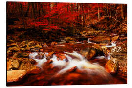 Tableau en aluminium Harz autumn forest