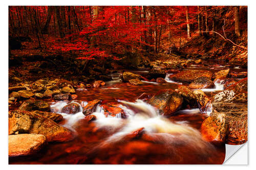 Sticker mural Harz autumn forest