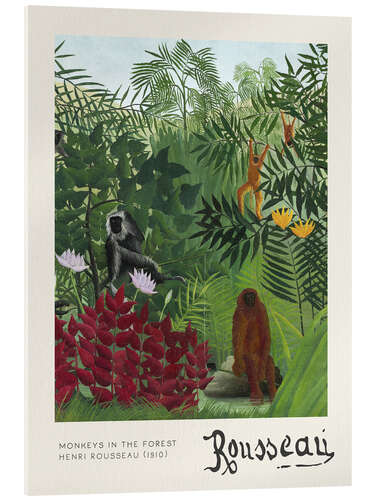 Cuadro de metacrilato Monkeys in the Forest