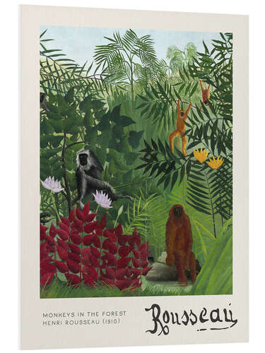 Obraz na PCV Monkeys in the Forest